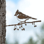 Metalbird
Kuifmees